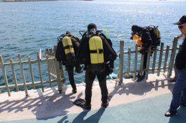 Çevre Haftasında Sualtı Temizlik Çalışması Yapıldı