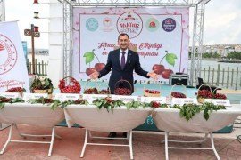 FESTİVALDE KİRAZLAR YARIŞTI